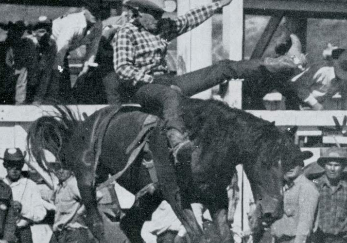 Cowboy riding a bucking bronco.